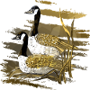 Les oiseaux