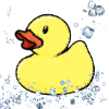 Rubber duck