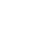 Coyote