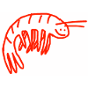 Shrimp