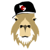 Capybara