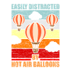 Hot air balloon
