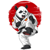 Karaté Panda Bear