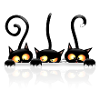 Black Cats