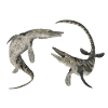 Mosasaur Tylosaurus
