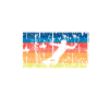 Wakeboard wakeboarding