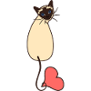 Love Siamese Cat