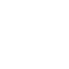 Briflip 4