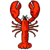 Lobster red