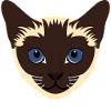 Siamese Cat Head