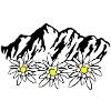 Mountains and Edelweiss