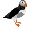 Puffin