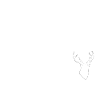 homme des bois