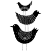 3 birds