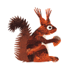 Eichhörnchen