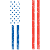 American French flag