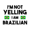 Funny Brazilian saying Brazil gift