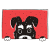 Schnauzer Funny Gift