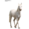 Pferd