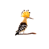 Wiedehopf Vogel Schattenfigur Ei