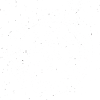 Vegvisir