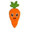 Carrot carrot vegetable
