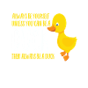 duck