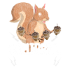 Squirrel cute animal