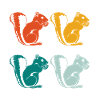 Squirrel animals