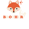 big brother fox