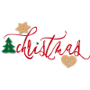 Christmas gingerbread