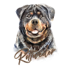 Rottweiler dog gift idea