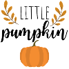 little pumpkin