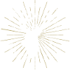 Deer - Deer Antlers - Deer