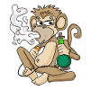 Shisha water pipe smoking monkey
