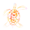 Turtle animals