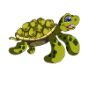 Turtle environmental protection animal