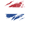 Netherlands Flag