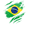 Brazil flag