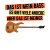 Bass Bassist