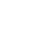 WE SHOULD ALL BE FEMINISTS