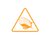 Zeppelin