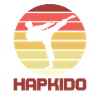 Hapkido retro