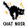 Chat Noir