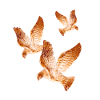 Shining Golden Doves of Peace