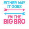 Sibling Gender Reveal Baby Party