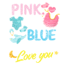 Gender Reveal Baby Party