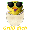 Grüß dich Küken