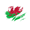 Wales Flag
