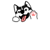 Husky cadeau drôle chien mignon